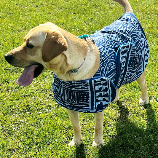 Dog wearing a blue patterned coat standing on grass