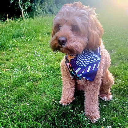 Dog wearing a bandana in a grassy field with sunlight