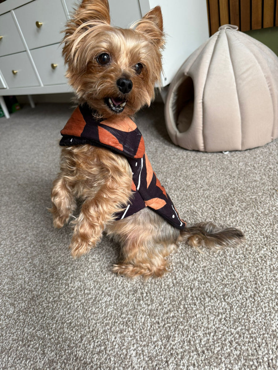 Willow