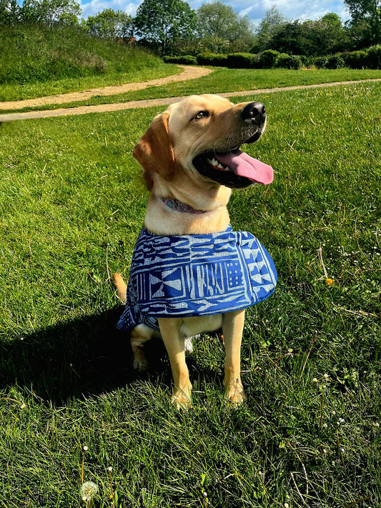 Oooh! Dog Coats! 100% Wax Cotton, Funky print, Handmade Dog Coat