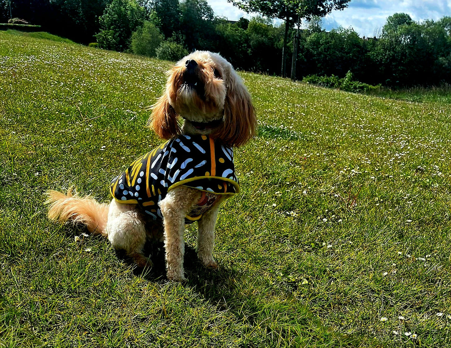 Oooh! Dog Coats! 100% Wax Cotton, Funky print, Handmade Dog Coat