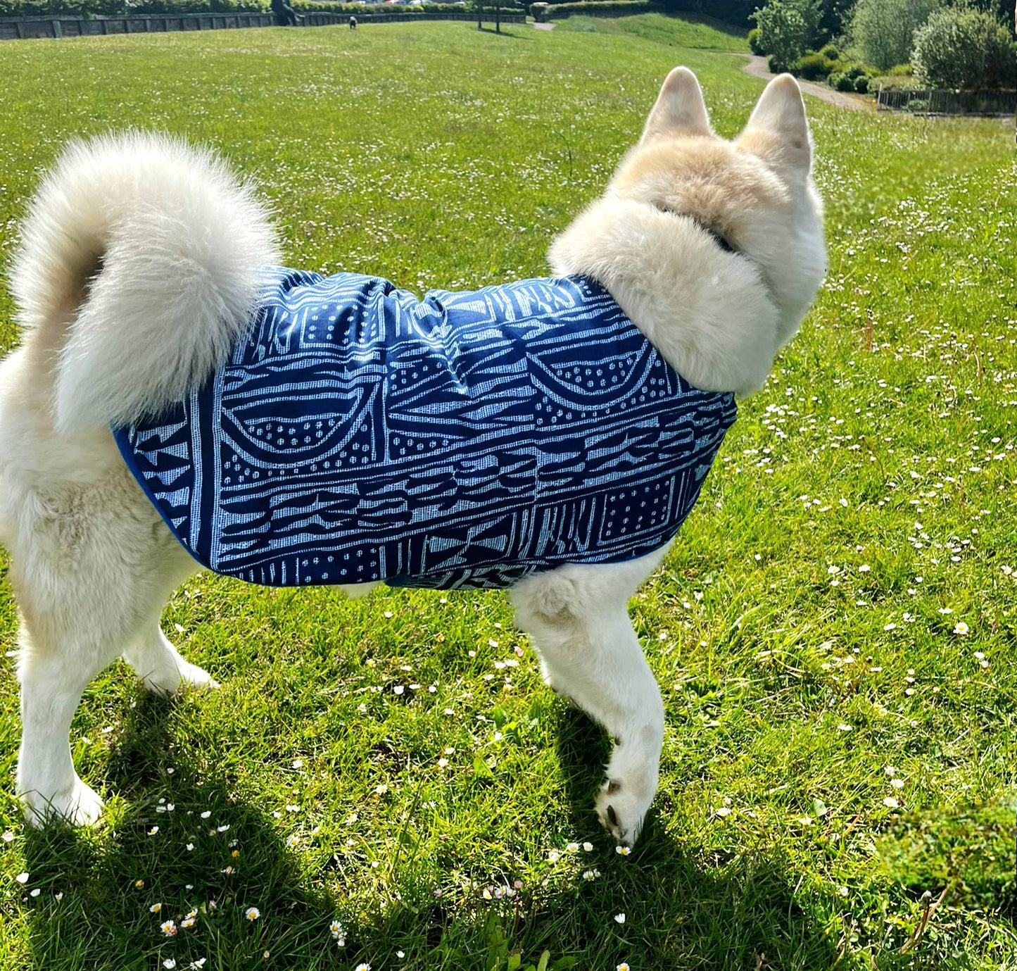 Oooh! Dog Coats! 100% Wax Cotton, Funky print, Handmade Dog Coat