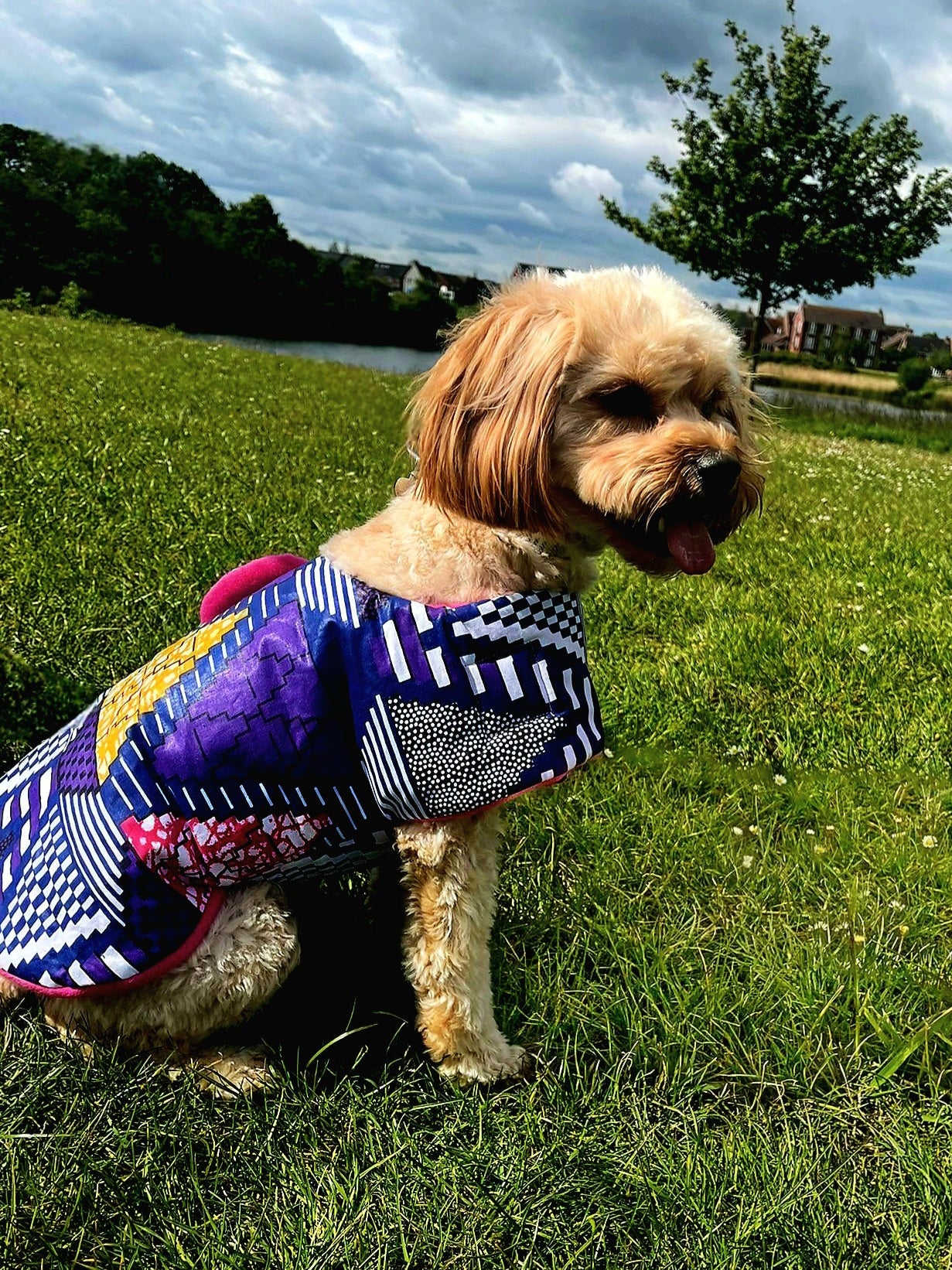 Oooh! Dog Coats! 100% Wax Cotton, Funky print, Handmade Dog Coat