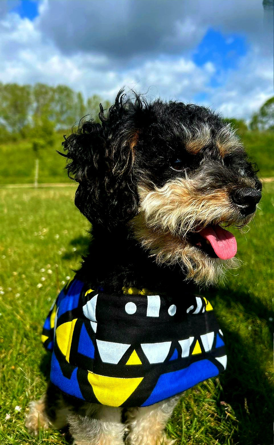 Oooh! Dog Coats! 100% Wax Cotton, Funky print, Handmade Dog Coat