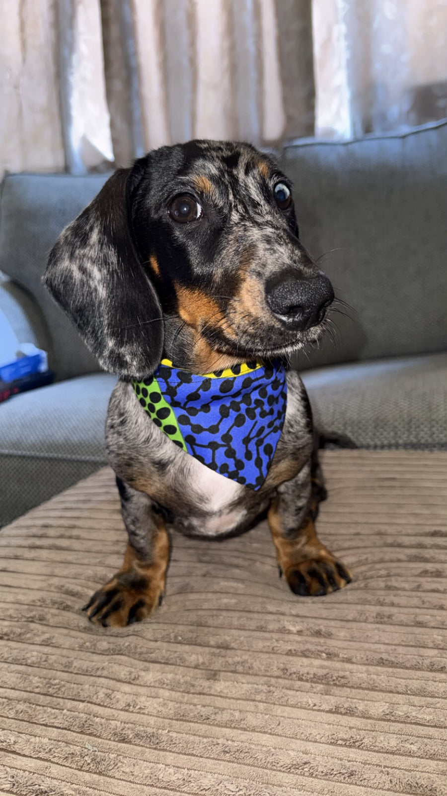 Zeus