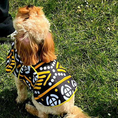 Dog wearing a black and yellow patterned dog coat on grass