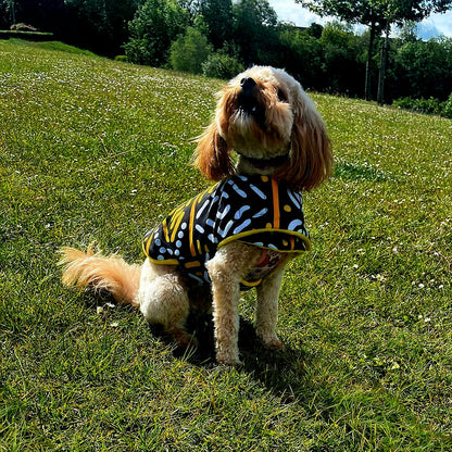 Dog wearing a dog coat in a grassy field with trees in the background