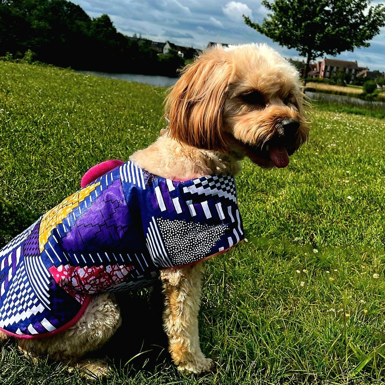 Dog wearing a colorful coat standing on grass with a lake and trees in the background