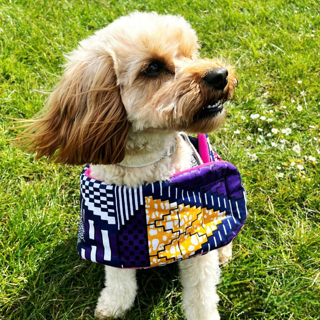 Dog wearing a colourful dog coat standing on grass