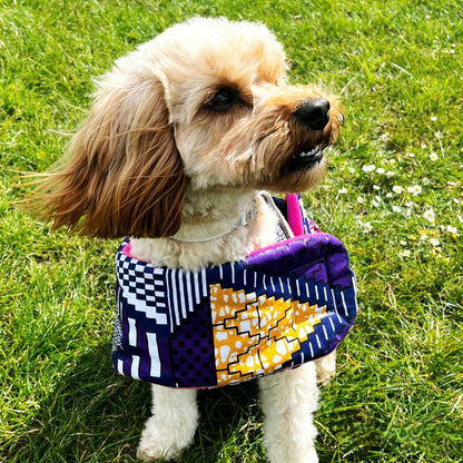 Dog wearing a colourful dog coat standing on grass