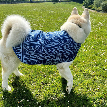 Dog wearing a blue patterned coat standing on grass